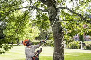 Pole Saws