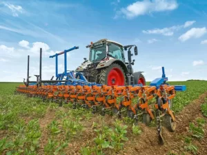 Hoeing systems